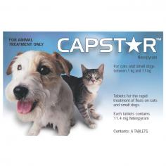 Shop Capstar flea tablets for dogs and cats online at DiscountPetCare. Get effective Capstar tablets for quick flea relief in dogs. Enjoy free shipping and excellent prices in Australia.