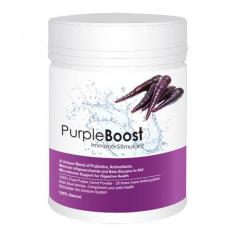 Lifewise Purple Boost Immuno-Stimulant for Dogs is a revolutionary supplement crafted to support your pet's overall well-being. Formulated with a unique blend of probiotics, antioxidants, mannan oligosaccharides, and beta glucans, it promotes a healthy gut microbiome and bolsters the immune system, making it ideal for young animals.
