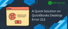 Discover the causes and solutions for Error 213 in QuickBooks Desktop. Learn how to fix corrupted data files, remove duplicate entries, and maintain data integrity for smooth QuickBooks operation. 