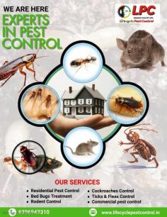 Swift and Effective Pest Control in Pune: Life Cycle Pest Control at Your Service

When it comes to pest control in Pune, time is of the essence. Pests can multiply quickly, causing damage and posing health risks to you and your family. Life Cycle Pest Control offers swift and effective pest control solutions that get to the root of the problem fast. Our experienced technicians use state-of-the-art techniques to ensure that pests are eradicated quickly and thoroughly, giving you immediate relief and long-term protection.