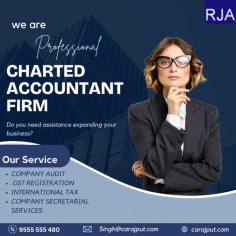 Rajput Jain & Associates* is a leading Chartered Accountant firm dedicated to providing top-notch financial services and solutions. Our experienced team is here to assist with your accounting needs, ensuring your business and personal finances are in expert hands.