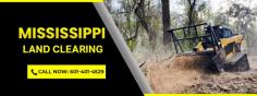 Get expert brush clearing services in Kossuth, Mississippi with our dedicated team. We specialize in efficient and thorough brush clearing, ensuring your land is clean and ready for use. Contact us today for professional brush clearing services tailored to your needs.