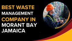 Looking for top-notch waste management in Kingston? Premier Waste Management Company offers efficient and eco-friendly waste disposal services tailored to your needs.