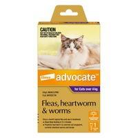 Advocate is a high-end product to control different parasitic infections in cats. This once a month topical solution treats heavy flea infestation and prevents re-infestation. It acts as the best prevention treatment for heartworm disease in cats. The easy to apply solution treats and controls fleas, ear mites, hookworms and roundworms, and protects cats from their harmful effects. Get the best pet supplies online with free shipping online at VetSupply