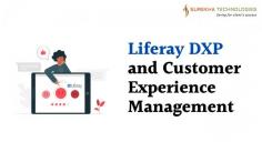 Liferay DXP and Customer Experience Management