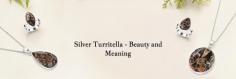 Silver Turritella Jewelry: Timeless Beauty for Any Occasion

Turritella is a spiritual crystal, known for its splendid beauty and protective properties. To have Turritella stone close to your life, you can wear it in the form of Turritella Necklaces, Turritella Rings, Turritella Bracelets, Turritella Pendants, and Turritella Earrings. It is believed that wearing Silver Turritella Jewelry in any shade encourages you to have a prosperous and healthy lifestyle, attracts good luck, helps to soften a strong ego, and reminds you to stay humble. The designing of Silver Turritella Jewelry is done through the pair of Turritella stone and sterling silver.
