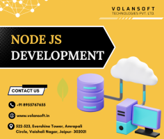 Volansoft excels as a leading NodeJs development company, crafting customized solutions to enhance your digital presence. With expert project management and guidance, we ensure your online projects shine. Choose Volansoft to tap into the full potential of NodeJs for your business.