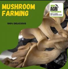 At IGO AgriTech Farms, we specialize in providing expert guidance to help you succeed in the mushroom farming industry..  Whether you’re an aspiring oyster mushroom farmer or looking to become a leading button mushroom supplier,  our tailored consultancy services cover all aspects of indoor mushroom cultivation. Our team of seasoned experts offers hands-on training, cutting-edge techniques, and ongoing support to ensure your mushroom farm thrives.  Partner with IGO AgriTech Farms and unlock the full potential of your mushroom farming venture, from selecting the right strains to mastering the intricacies of climate control and substrate preparation.  FOR MORE INFORMATION CONTACT US:  7397789803,7397789805  www.igoagritechfarms.com
