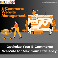 Hot Fuego offers expert website management services, e-commerce consulting, SEO, and optimization to help your online business succeed. Let us be your trusted e-commerce consultant and take your website to the next level.
