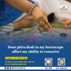 Pitru Dosha refers to unresolved concerns and issues from past life and previous generations also known as ancestral karma that can have a potential negative impact on an individual’s life including fertility. By analyzing your birth chart you can get an answer if Pitru Dosha in your horoscope affects your ability to conceive. The presence of malefic planets in the ninth house of a birth chart is believed to create pitra dosha.  Any specific issue, connect with my office @ +91 9999113366. God bless you with a happy life.

https://www.vinaybajrangi.com/children-astrology/best-time-to-conceive-a-baby/does-pitra-dosh-in-my-horoscope-affect-my-ability-to-conceive.php

