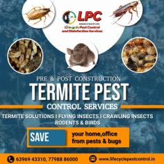 Life Cycle Pest Control: Integrated Pest Management
For integrated pest control in Pune, Life Cycle Pest Control offers comprehensive solutions that address all life stages of pests. Our strategic approach ensures thorough elimination and long-term prevention, giving you peace of mind and a pest-free environment.