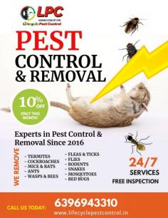 Fleas are a significant problem for pet owners in Pune, and their control hinges on understanding their life cycle, which consists of the egg, larva, pupa, and adult stages. Effective pest control in Pune involves treating both the pets and the environment to break the flea life cycle. Treatments include topical or oral medications for pets, as well as vacuuming, washing bedding, and using insecticides in the home. Flea control requires persistent effort to address all life stages, ensuring that eggs and larvae hidden in carpets and upholstery are eradicated. By focusing on the entire flea life cycle, pest control in Pune can achieve long-term relief from these persistent pests.
