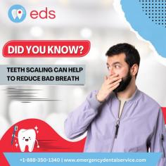 Did You Know? | Emergency Dental Service

Did you know that tooth scaling can help reduce bad breath?  Scaling is a dental procedure that involves removing plaque and tartar buildup from the teeth and gums. This buildup can trap bacteria, which leads to bad breath. If you're struggling with bad breath, schedule a teeth-scaling appointment with Emergency Dental Service. Schedule an appointment at 1-888-350-1340.