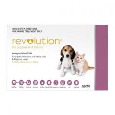 Provide advanced Flea, Tick and Worm prevention for your cats with Revolution from DiscountPetCare Australia. Ensure your pets' well-being with effective and reliable parasite control.