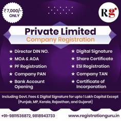 There are various processes to do Private limited company registration in India. First, you must select a distinct company name and secure a Digital Signature Certificate (DSC) for the intended directors. Next, assign each director a Director Identification Number (DIN). Once these are in place, submit the company's incorporation documentation to the Ministry of Corporate Affairs (MCA) via the MCA21 portal.