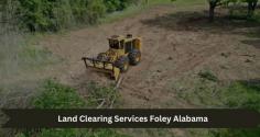 Get professional land clearing services in Foley, Alabama, to prepare your property for construction, landscaping, or agricultural projects. Our expert team uses advanced equipment to efficiently remove trees, brush, and debris, ensuring a clean, level site ready for development. With a focus on safety and environmental responsibility, we handle everything from small residential lots to large commercial properties. Whether you’re clearing land for a new home, expanding farmland, or improving drainage, our reliable land clearing services in Foley will help you achieve your goals with precision and care.