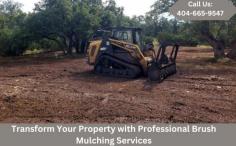 Tired of overgrown brush and vegetation taking over your property in Forsyth County, Georgia? Our professional brush mulching services can clear and beautify your land efficiently. Whether you're preparing for development or simply want a cleaner, more usable space, our forestry mulching services are the solution you need. Contact us today and let our experts help you transform your land.