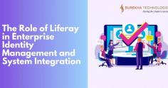 The Role of Liferay in Enterprise Identity Management and System Integration