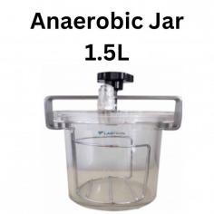 Labtron Anaerobic Jar is a 1.5L hermetic PMMA jar with a smooth surface and high-quality O-ring for airtight sealing. It features a quick snap-shut coupling, includes a gas pack, and a stainless steel clamp, creating anaerobic conditions in 2-4 hours. Ideal for microbiological use.
