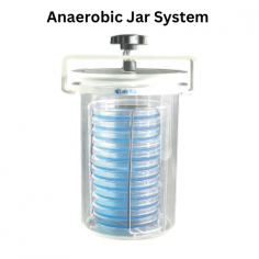 Labnics Anaerobic Jar System is a 1.5L hermetic PMMA unit for cultivating anaerobic organisms. It holds six 90-100mm petri dishes in a 15R holder. With a stainless steel clamp and O-ring sealing, it creates anaerobic conditions in 2-4 hours and is equipped with O-ring leak-resistant sealing. 
