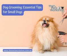 Understanding the Importance of Pet Grooming for Small Breeds—The Pets Workshop

Pop over here: https://www.thepetsworkshop.com.sg/