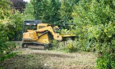 Looking for professional underbrush clearing services in Winter Springs, Florida? Our team specializes in efficient land clearing, removing unwanted vegetation, and preparing your property for development or landscaping. We use advanced techniques and equipment to remove dense vegetation, shrubs, and invasive plants, promoting healthier ecosystems and enhancing your property's aesthetics. Whether preparing for construction, improving land access, or restoring natural habitats, our experienced team is committed to delivering efficient and reliable underbrush clearing services tailored to your needs. Contact us for expert land management services today!