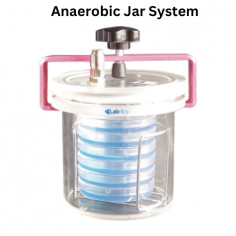 Labnics Anaerobic Jar System is a cost-effective, robust solution for quickly creating anaerobic conditions. The unit offers a capacity of 1.5L and holds six 90-100 mm petri dishes in a 15R holder. Designed with durable PMMA material and attains anaerobic conditions in just 3 to 5 minutes.
