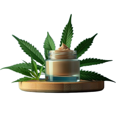 Try some quality hybrid cannabis strains from Therapeuticleaf.life and feel the greatest of both worlds. Pamper yourself and let your senses soar today.

https://therapeuticleaf.life/