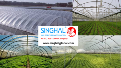 The concept of the plastic film greenhouse is rapidly gaining popularity worldwide, as it allows farmers to grow crops in controlled environments, regardless of external weather conditions. In India, plastic film greenhouses are particularly valuable in regions with unpredictable monsoon seasons, extreme heat, or cold temperatures. Farmers can produce higher yields and better-quality crops by using plastic films to manage light, temperature, and humidity.