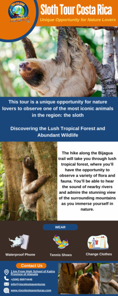 Infographic:- Sloth Watching Costa Rica 

The hike along the Bijagua trail will take you through lush tropical forest, where you’ll have the opportunity to observe a variety of flora and fauna. You’ll be able to hear the sound of nearby rivers and admire the stunning view of the surrounding mountains as you immerse yourself in nature.

Know more: https://riocelesteaventuras.com/tours/sloth-trail-rio-celeste/
