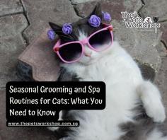 As the seasons change, so do the grooming and care needs of your feline friend. Proper cat grooming and regular visits to a cat spa Singapore can help ensure that your cat stays comfortable, healthy, and happy throughout the year. Understanding the specific needs for each season allows you to provide the best care for your cat, ensuring their coat, skin, and overall well-being are maintained.

Spring: Shedding Season Preparation

Spring is the time when many cats begin to shed their winter coats in preparation for warmer weather. During this season, cat spa is essential to manage shedding and prevent matting. Regular brushing helps remove loose fur and reduces the risk of hairballs, which are common during this time. A visit to a cat spa can complement your grooming routine by providing deep conditioning treatments that keep the coat soft and manageable.

In addition to grooming, spring is an ideal time to address any lingering winter dryness. A moisturizing spa treatment can help rejuvenate your cat’s skin, preventing itchiness and irritation as the weather warms up.

Summer: Beat the Heat

Summer brings higher temperatures, which can be uncomfortable for your cat, especially those with long or thick fur. Regular cat grooming during the summer months helps keep your cat cool and comfortable. Trimming excess fur, particularly around areas like the belly and underarms, can prevent overheating and make it easier for your cat to regulate their body temperature.

A summer visit to the cat spa in Singapore can include a refreshing bath with a gentle, cooling shampoo. Many spas offer special summer treatments that include aloe vera or oatmeal to soothe the skin and prevent sunburn, particularly for cats with lighter-colored coats. Hydration is key during this season, so be sure your cat has plenty of fresh water and consider a spa treatment that includes a hydrating mist or leave-in conditioner.

Fall: Preparing for Winter

As the weather begins to cool, your cat’s grooming needs will shift again. Fall is a good time to focus on strengthening your cat’s coat in preparation for the colder months. Regular brushing is important to remove any loose hairs and to encourage the growth of a thicker winter coat.

During this season, a visit to a cat spa can provide treatments that nourish the skin and coat, such as deep conditioning baths or massages with essential oils. These treatments help to fortify the fur against the drying effects of indoor heating, which can lead to dandruff and dry skin.

Winter: Maintaining Moisture and Warmth

Winter brings its own set of challenges, particularly when it comes to keeping your cat’s skin and coat healthy. The dry, cold air can lead to flaky skin and a dull coat. Cat grooming during winter should focus on maintaining moisture and preventing dryness. Regular brushing is essential to stimulate the skin’s natural oils, which helps keep the coat shiny and healthy.

A winter cat spa visit can include a warm, moisturizing bath and a deep conditioning treatment that locks in moisture. Many spas offer treatments with ingredients like shea butter or coconut oil, which provide extra hydration and protection against the cold. For indoor cats, a paw care treatment might be beneficial to prevent cracking and dryness from the heated environment.

Each season brings its own set of grooming challenges and opportunities to pamper your cat with a visit to the cat spa Singapore. By tailoring your cat grooming and spa routines to the changing seasons, you can help your feline friend stay comfortable, healthy, and happy all year round. Whether it’s managing shedding in the spring, keeping cool in the summer, or moisturizing in the winter, a seasonal approach to cat care ensures that your cat’s coat and skin are always at their best.

Pop over here : https://www.thepetsworkshop.com.sg/