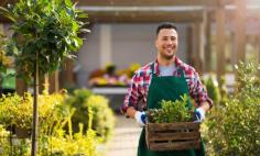 Landscaper Near Me
Transform your outdoor space with Allbetter. Our app helps you find experienced landscapers near you, offering services like garden design, lawn care, and outdoor maintenance. Enhance your home’s curb appeal with professional landscaping tailored to your needs.

