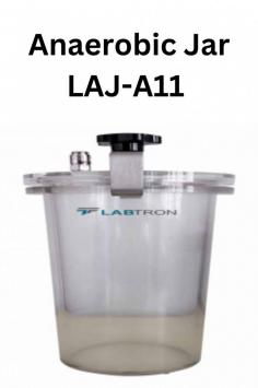  Labtron Anaerobic Jar is a Hermetic type with a 2.5 L capacity and features a transparent PMMA design, a high-quality O-ring for airtight sealing, and a durable stainless steel clamp. It holds 12 dishes (90-100 mm) and takes 2-4 hours to achieve anaerobic conditions.
