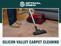 It seems like you're asking about "Silicon Valley Carpet Cleaning." Are you looking for information on a specific company, general tips for finding a good carpet cleaning service in Silicon Valley, or details about carpet cleaning processes? Let me know how I can assist you!