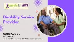 Disability service providers play an important role in helping individuals with disabilities find work and employers find talent that best suits their business needs. Angels in Aus offers a range of disability inclusion programs to help you become a more inclusive workplace or school.