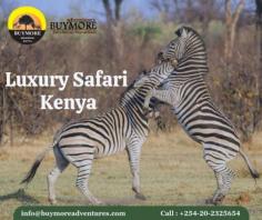 The birth of African wildlife adventures started in the vast savannas of Kenya. For more info visit: https://safaritourkenya.wordpress.com/2024/09/19/kenya-luxury-safari-accomplish-your-travel-dream-with-buymore-adventures/

Visit our website today at: https://www.buymoreadventures.com/kenya-safaris/7-days-kenya-luxury-safari
