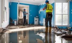 Located in Charlotte, NC, our company specializes in comprehensive restoration and cleaning services to revive homes and businesses. From water damage restoration to deep cleaning, we ensure your property returns to its best state swiftly and efficiently. Visit - https://myrestorationservices.com/