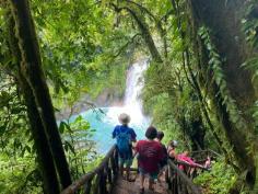 Rio Celeste Hike and Waterfall

Immerse yourself in a unique experience as you explore the Rio Celeste Trail within Tenorio National Park. This three-hour guided hike takes you through the lush tropical rainforest, where you’ll uncover the magical phenomenon of the Rio Celeste.


Know more: https://riocelesteaventuras.com/tours/rio-celeste-hike-and-waterfall/