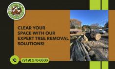 Get Our Efficient Tree Removal Services Today!

Among the tree removal services in Apex, NC, offered are emergency disposal, stump grinding, and landscape clean up, protecting everything around your home. Count on our certified arborists to evaluate, strategize, and implement safe tree dumping. Contact Maldonado Tree Service at (919) 270-8606 for more details!