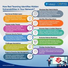 Discover how Red Teaming can expose hidden vulnerabilities within your network before malicious attackers do. Through simulated cyber-attacks, Red Teaming helps identify gaps in your defenses, ensuring your systems are fortified against evolving threats. Uncover potential risks, improve security protocols, and safeguard your organization from costly breaches.

Secure your network today! Explore how Red Teaming can strengthen your cybersecurity posture.
