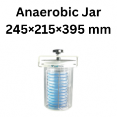 Labtron Anaerobic Jar features a hermetic design, transparent jar with 25 R petri-dish holder, PMMA material, strong jar-lid clamp with O-ring, and quick snap-shut coupling. Achieves anaerobic conditions in 4 hours. Durable, lightweight, and shock-resistant.