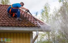 Roof & Gutter Cleaning Services in Puyallup, WA

Regular roof cleaning can remove dirt, algae, mold, and other contaminants, ensuring your surroundings remain beautiful and hazard-free. At Eco Clean Northwest, our exterior cleaning experts are dedicated to providing top-notch Roof & Gutter Cleaning in Puyallup, WA and exceptional customer service to keep your area in pristine condition. Contact us at 253-617-1944.

Visit: https://ecocleannw.com/eco-clean-northwest-roof-cleaning/