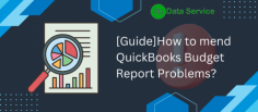 QuickBooks Budget Reports are essential for tracking your financial performance and ensuring you stay within budget. However, users often encounter issues that can hinder their effectiveness. Here’s a guide to help you troubleshoot and mend these problems.

1. Verify Your Budget Settings: First, ensure that your budget is set up correctly. Go to the “Reports” menu, select “Budgets & Forecasts,” and review your budget details. Check the fiscal year and ensure all accounts are included.

2. Update QuickBooks: Sometimes, outdated software can cause reporting errors. Ensure you’re using the latest version of QuickBooks by navigating to the “Help” menu and selecting “Update QuickBooks.”

3. Rebuild Your Data File: Data corruption can affect budget reports. Use the “Verify and Rebuild Data” utility found under the “File” menu to detect and fix issues.

4. Customize Your Report: If the budget report does not display as expected, try customizing it. Use the “Customize” button to adjust filters, date ranges, and display options.

5. Seek Support: If problems persist, consider reaching out to QuickBooks support or a professional accountant familiar with QuickBooks to resolve complex issues.

By following these steps, you can effectively mend any budget report problems and ensure accurate financial tracking in QuickBooks.






