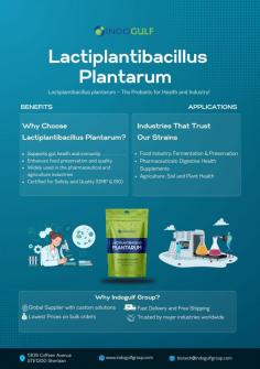 Indo Gulf Company offers unmatched expertise and premium-quality Lactiplantibacillus plantarum strains to meet your industrial requirements. With a strong focus on quality control, we test every batch to ensure the highest standards of purity. Our experienced team provides personalized service, ensuring you receive strains tailored to your specific product needs. We are known for our quick turnaround times, even for large bulk orders. Trust Indo Gulf to deliver superior probiotic strains that can elevate your product lineup and keep you ahead in the market.

Click the link to learn more:
https://indogulfgroup.com/lactiplantibacillus-plantarum.php
