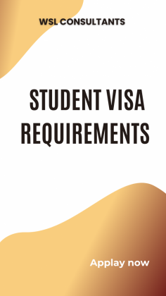 https://wslconsultants.ae/italy-student-visa-from-dubai/