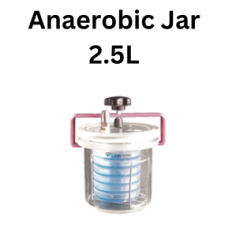 Labtron anaerobic jar features a durable PMMA chamber, evacuates air in 3-5 minutes, and holds 12 dishes securely with a clamp and O-ring seal. It includes a pressure relief valve to prevent excess pressure and is reusable and sterilizable via autoclaving.
