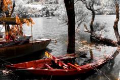 Lake town in uttarakhand is Naukuchiatal nine-cornered lake, situated at an altitude of 1,220m from the sea level.