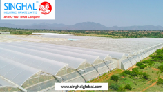 The market for plastic film greenhouses is expanding rapidly, driven by the increasing demand for fresh produce and sustainable agricultural practices. With the rise in global population and urbanization, there is a greater emphasis on food security and efficient farming methods. Greenhouse films enable farmers to produce high-quality crops in various climates and conditions, making them a valuable asset in contemporary agriculture.