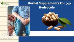 In today’s health-conscious society, many men are seeking ways to optimize their physical and mental performance. The right supplements can play a vital role in achieving overall wellness and enhancing daily vitality. The health supplements for every man that can help you maximize your potential. The Natural Remedies For Hydrocele, an important consideration for men’s health.

https://houstonstevenson.com/2024/10/12/key-health-supplements-for-every-man-maximize-your-potential/