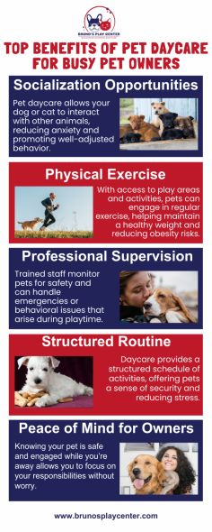 How Pet Daycare Helps Busy Owners Keep Their Pets Happy

Pet daycare offers many benefits, especially for busy pet owners. It provides a safe and fun environment where your pet can play, socialize, and burn off energy. Instead of being home alone, your pet gets constant attention and care throughout the day. Pet daycare helps reduce boredom, anxiety, and destructive behavior, making your pet happier and calmer at home.

Another great benefit is that your pet gets to socialize with other animals, improving their social skills. With trained staff supervising, you can have peace of mind knowing your pet is in good hands while you’re busy. Pet daycare makes life easier for both you and your pet!